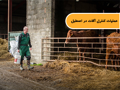 عملیات کنترل آفات (سمپاشی و ...) در اصطبل