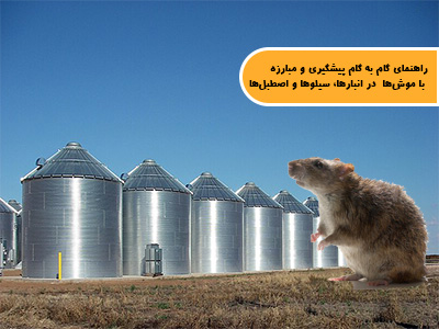 راهنمای گام به گام پیشگیری و مبارزه با موش‌ها در انبارها، سیلوها و اصطبل‌ها