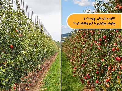 تناوب باردهی چیست و چگونه میتوان با آن مقابله کرد؟