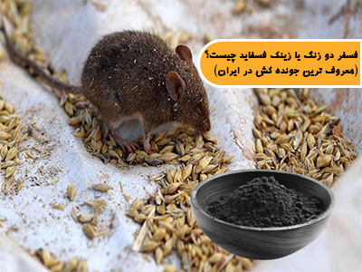 فسفر دو زنگ یا زینک فسفاید چیست؟ (معروف ترین جونده کش در ایران و دنیا)