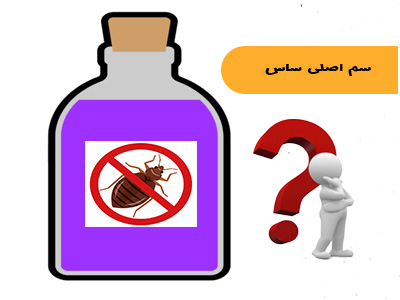 سم اصلی ساس