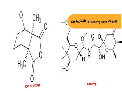 تفاوت بین دو سم پدرین و کانتاریدین