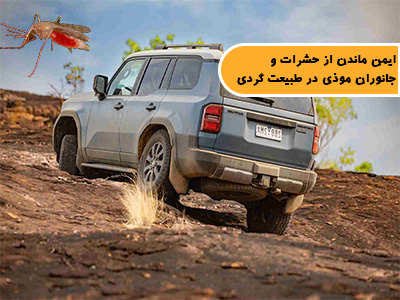 ایمن ماندن از حشرات و جانوران موذی در طبیعت گردی