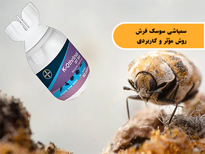 سمپاشی سوسک فرش یا سوسک قالی؛ روش مؤثر و کاربردی