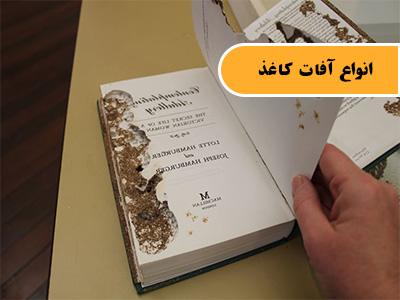 آشنایی با آفات کاغذ
