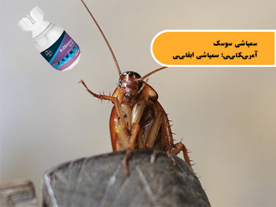 سمپاشی سوسک آمریکایی؛ سمپاشی ابقایی