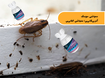 سمپاشی سوسک ریز کابینتی آشپزخانه چگونه است؟