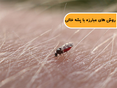 روش های مبارزه با پشه خاکی