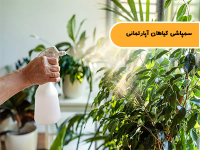 سمپاشی گیاهان آپارتمانی